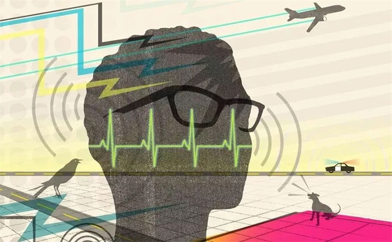 悲劇，聲學(xué)處理不好，噪音引發(fā)血案