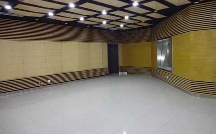 四川資陽大會議室空間吸聲體聲學(xué)工程-2
